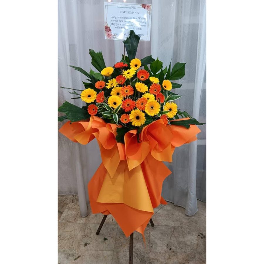 beautygarden-Opening Stand 40